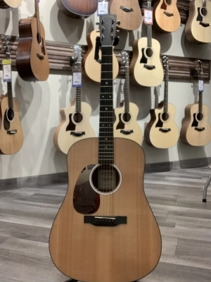 Martin Guitars - D-10E MARTIN